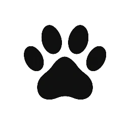 Cat Crazy Cross Gates LEEDS